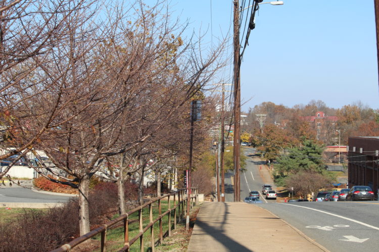 20181117-Starr-Hill-40